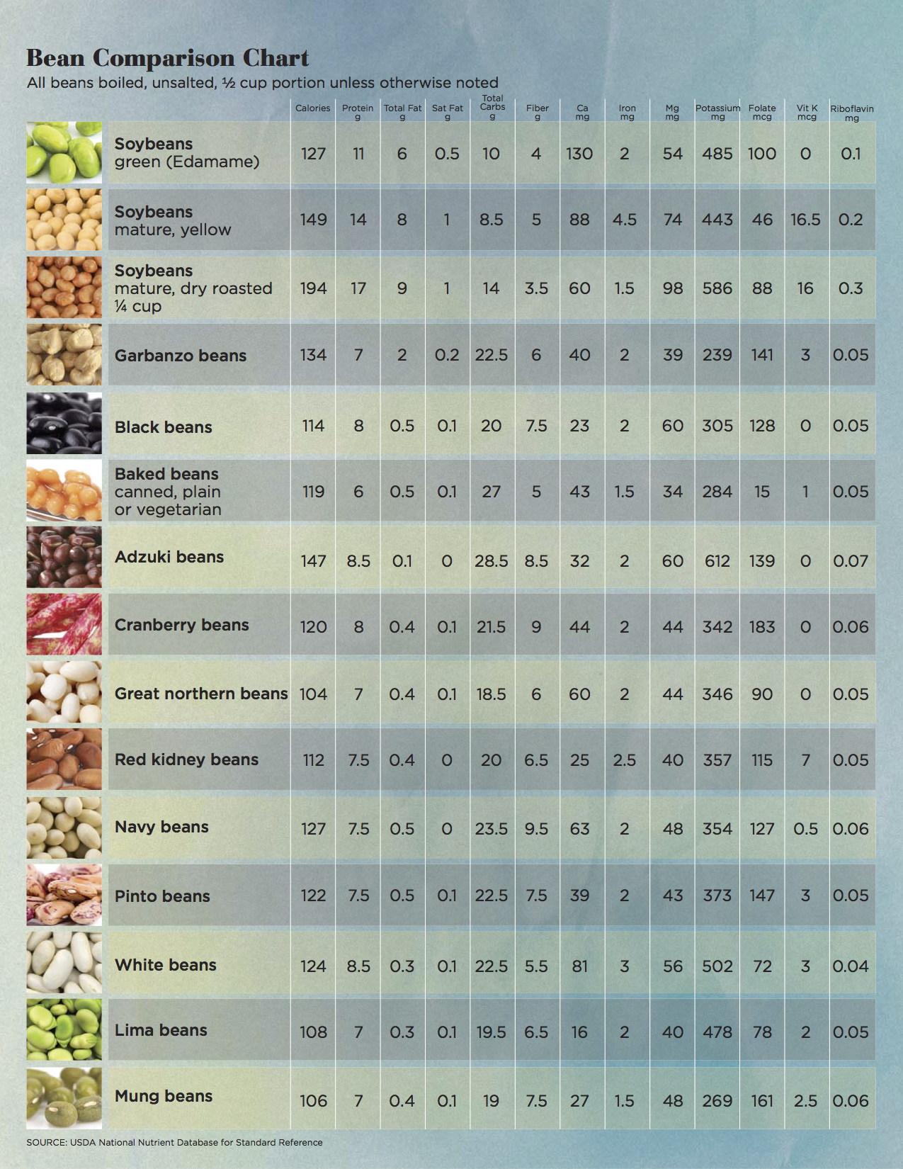 beancounter chart